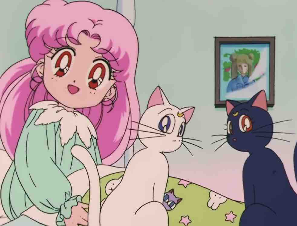 セーラームーンr 第35 36話 感想 まぬけ日誌