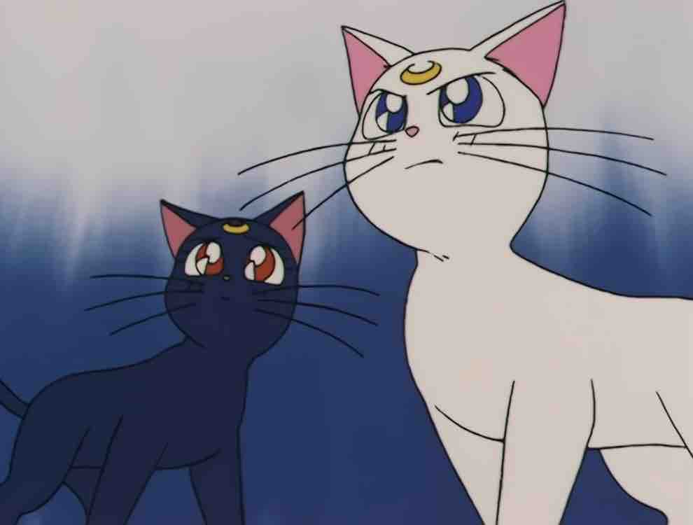 セーラームーンr 第41 42話 感想 まぬけ日誌