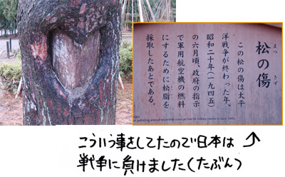 061205-3.jpg