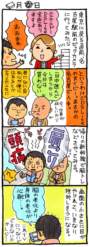 ニンテンドーDS Lite