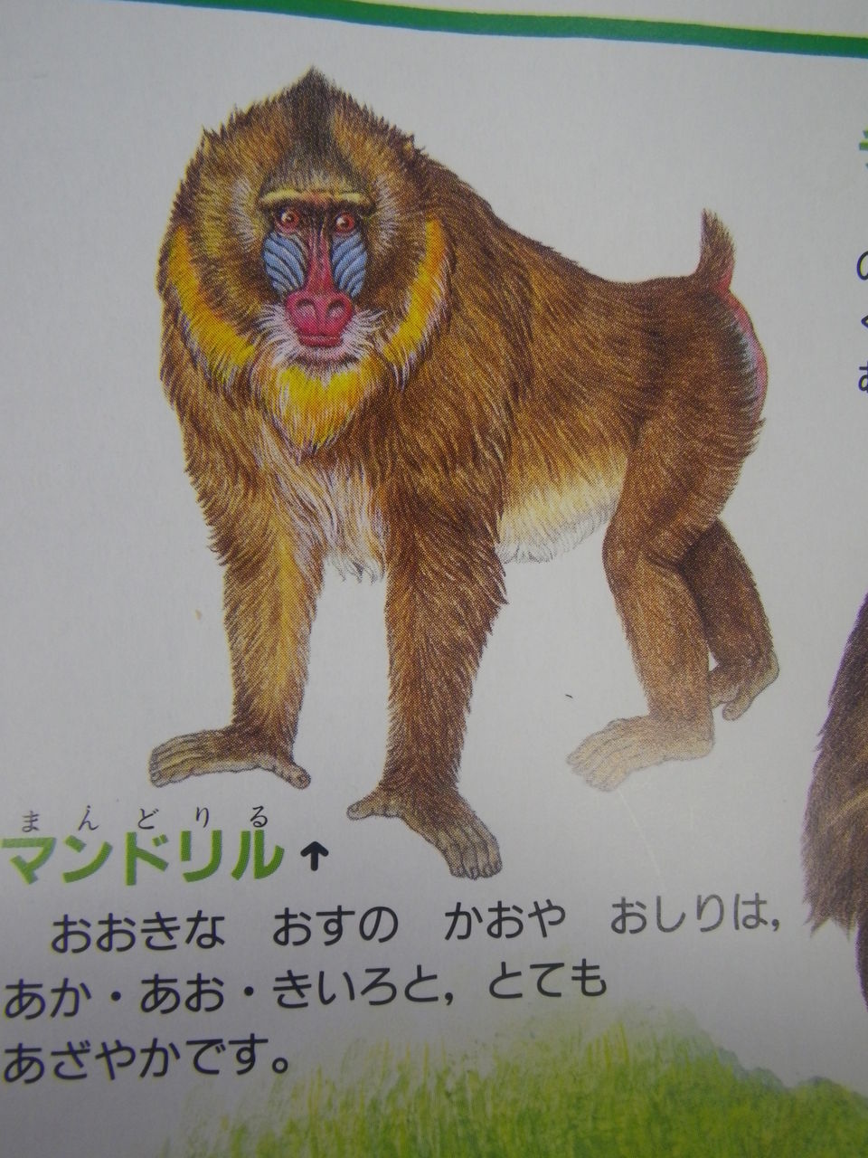 6月分 ちゃちゃちゃちゃっく 6月分 ちゃちゃちゃちゃっく