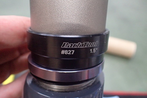 P8119456