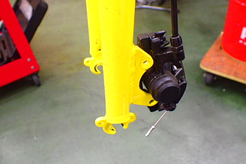 P8119438