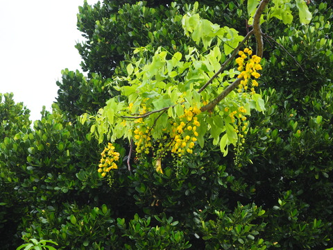 PA200190