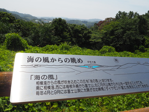 P8190058