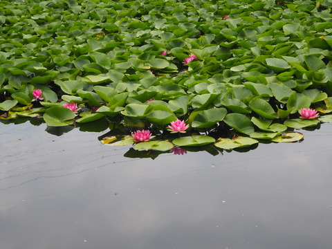 P7240044