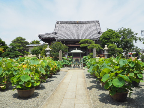 P7200019