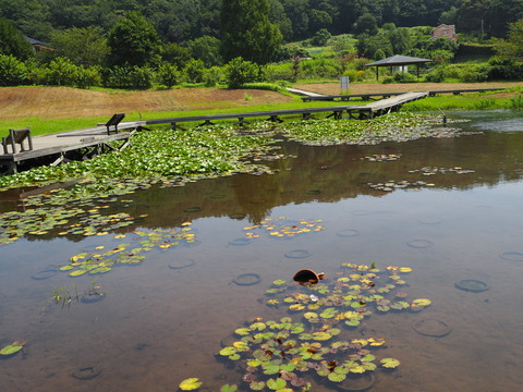 P8190089