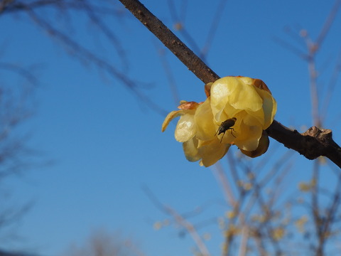 P1140041