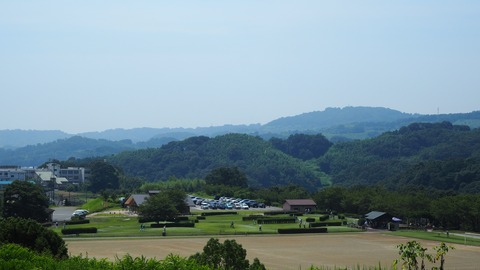P8190060-1