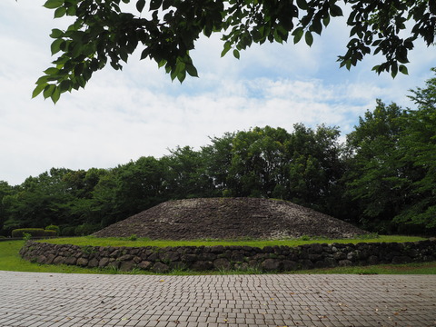 P6150034