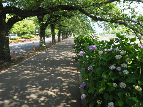 P6050058