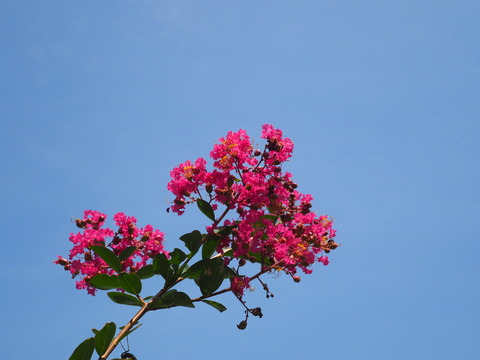 P8190072