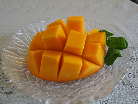 P8030048