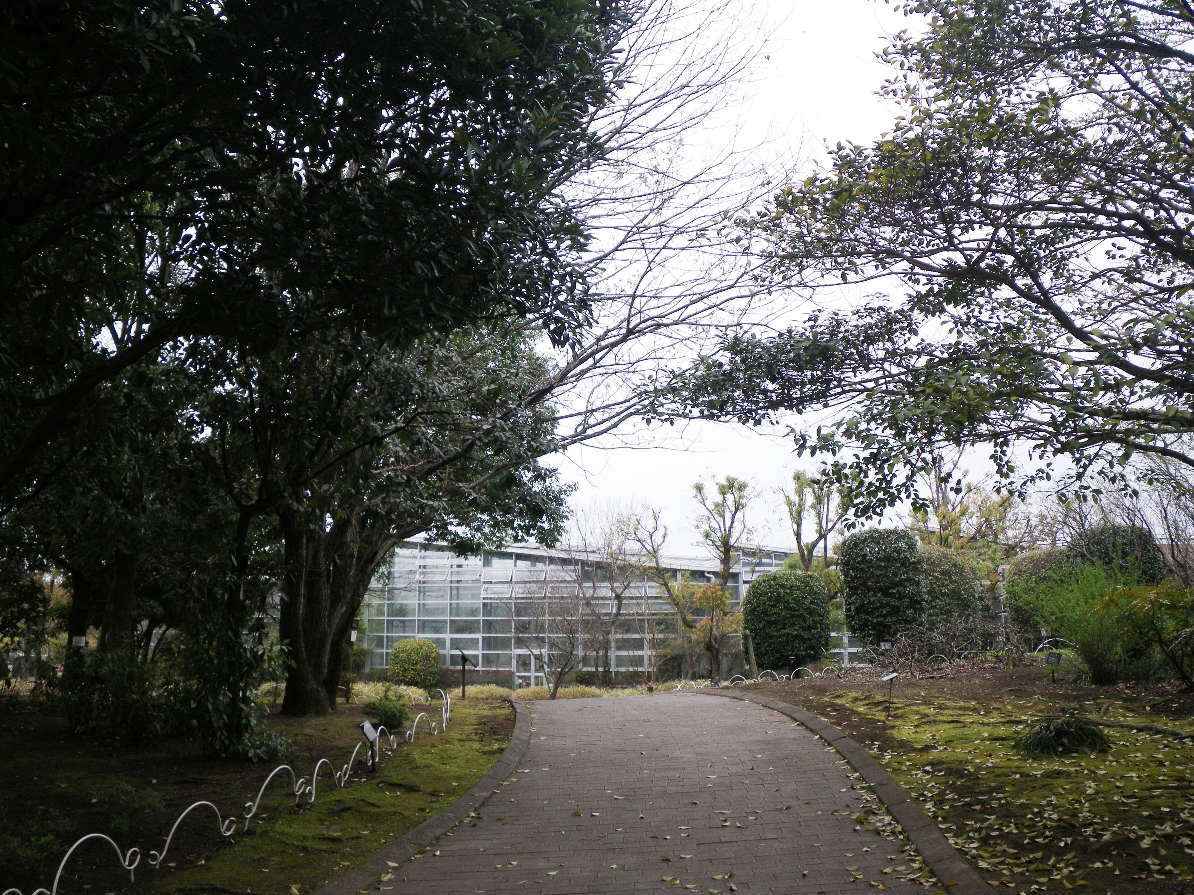 熊本市動植物園の温室は管理されているのかな 植物園ルーキー