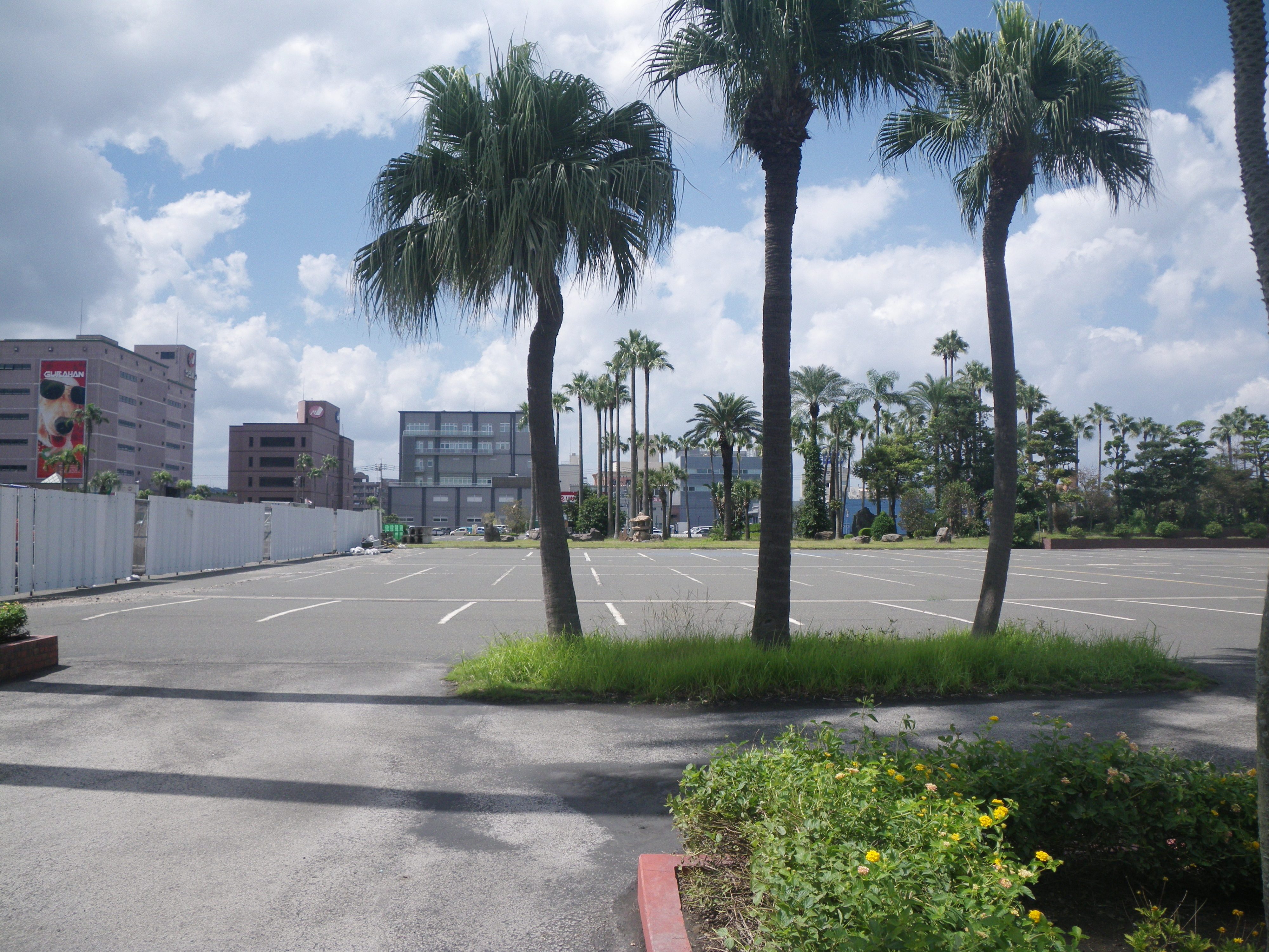 かごしま熱帯植物園跡地 植物園ルーキー かごしま熱帯植物園跡地 植物園ルーキー