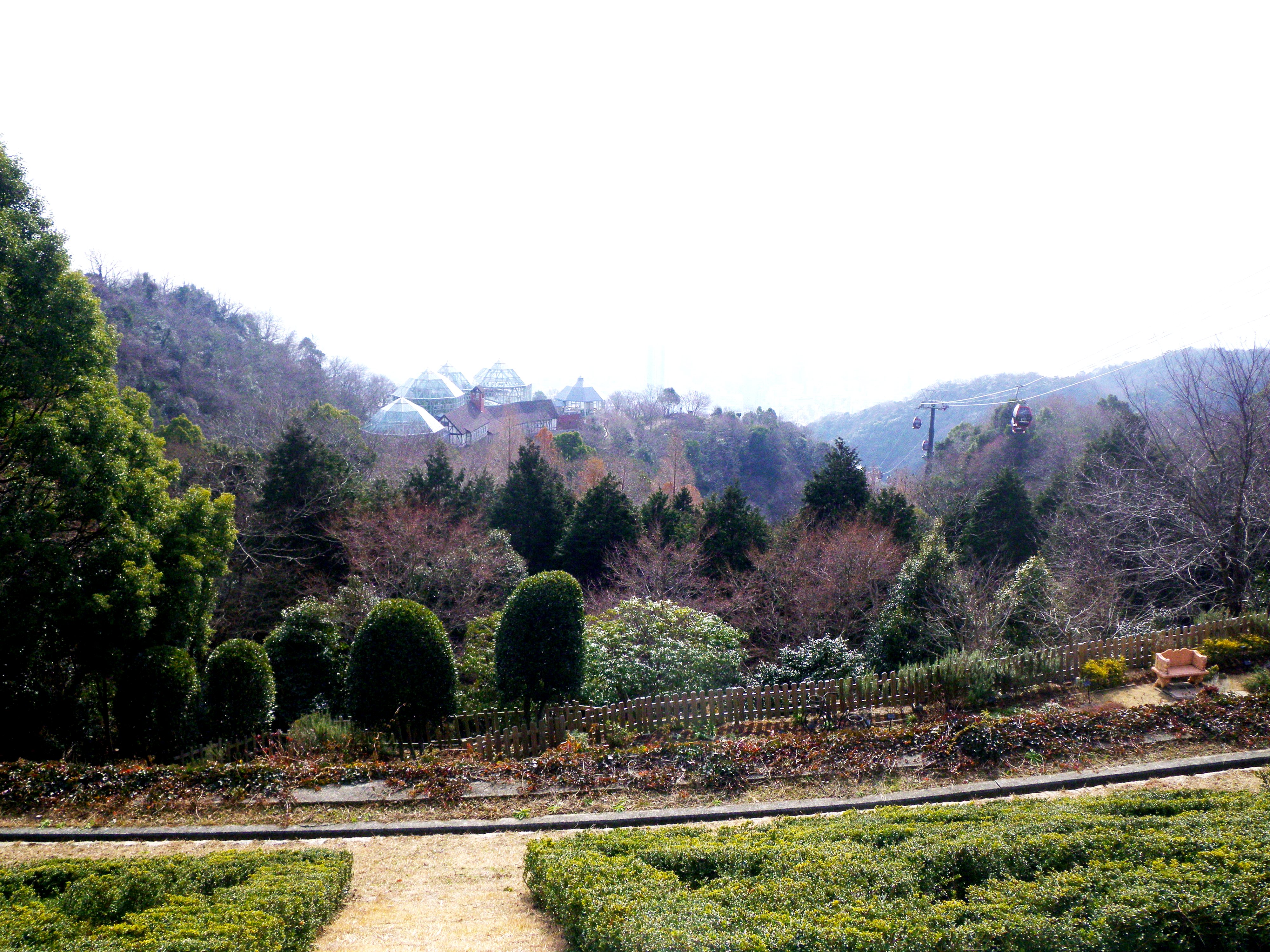 布引ハーブ園に潜入 植物園ルーキー