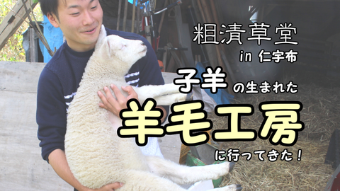 羊毛工房】子羊の生まれた「粗清草堂」さんに行ってきました