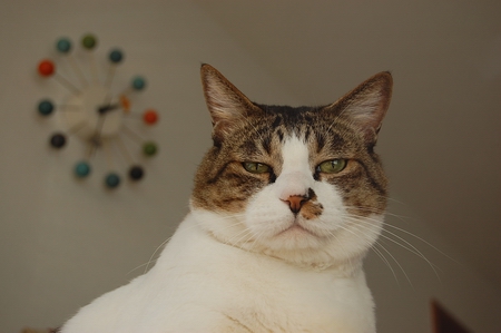 �����������ߤޤ��󡣡���