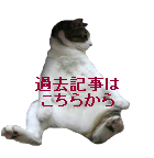 ���ޤ���β������롩
