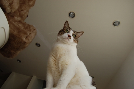 ���Ƥ�����