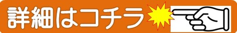 詳細はコチラ帯