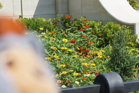 line_197388396257506