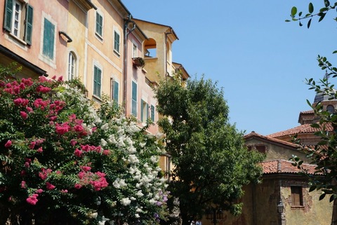 line_335724851432076