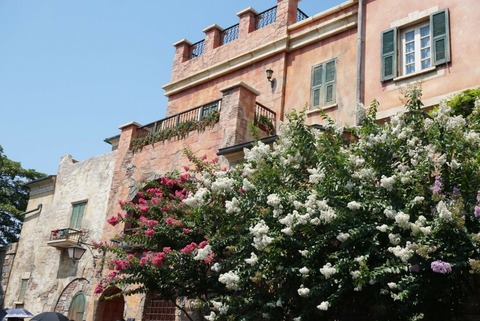 line_335727840423220