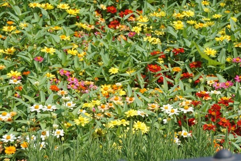 line_197394191324118