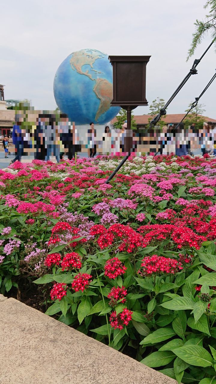 ビッグアルさんのお花見散歩 東京ディズニーシー ビッグアルさんのお花見散歩 東京ディズニーシー