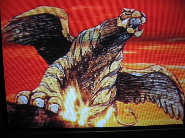 今期放映 ウマウマなことはウマに聞け 今期放映 ウマウマなことはウマに聞け
