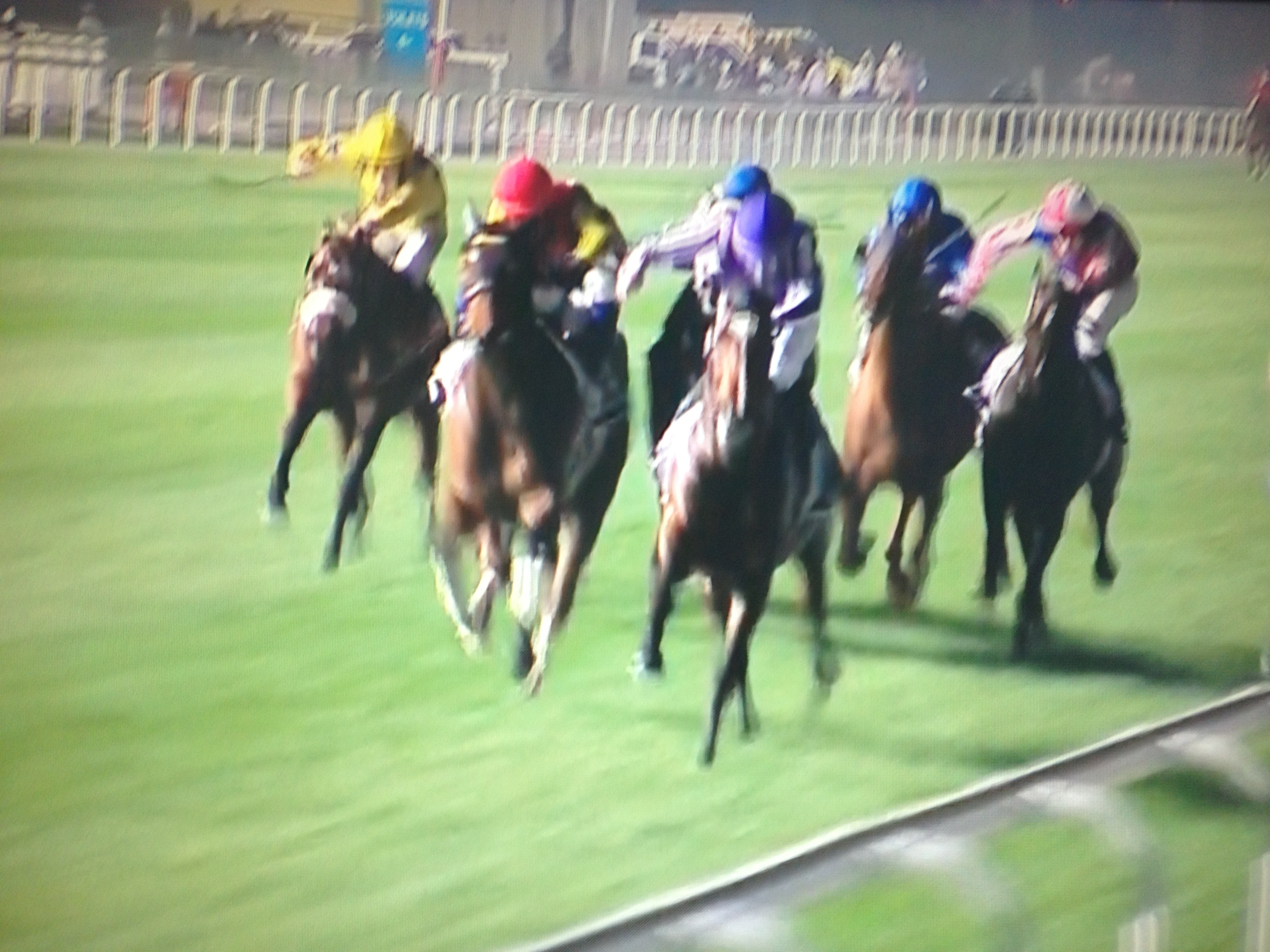 やっぱりこちらも勝てない勝てない ウマウマなことはウマに聞け