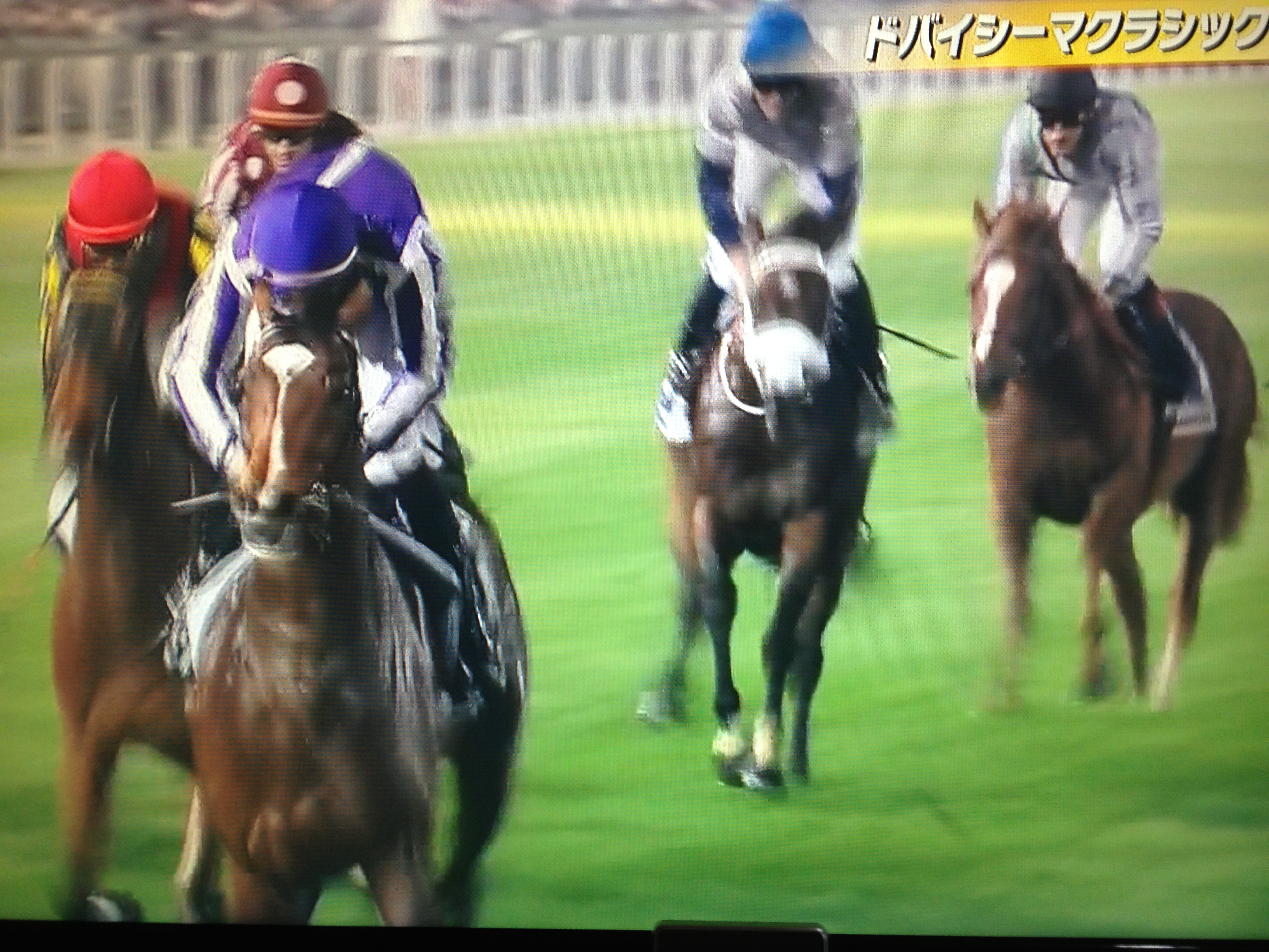 やっぱりこちらも勝てない勝てない ウマウマなことはウマに聞け