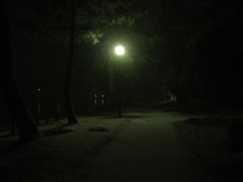 139080124149726052228_DSC08583doc