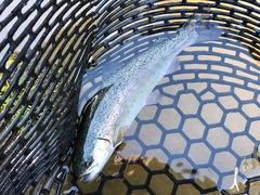 ���祤�Х졼02