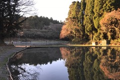 ���祤�Х졼01