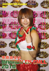 ayumi_cmll[1]