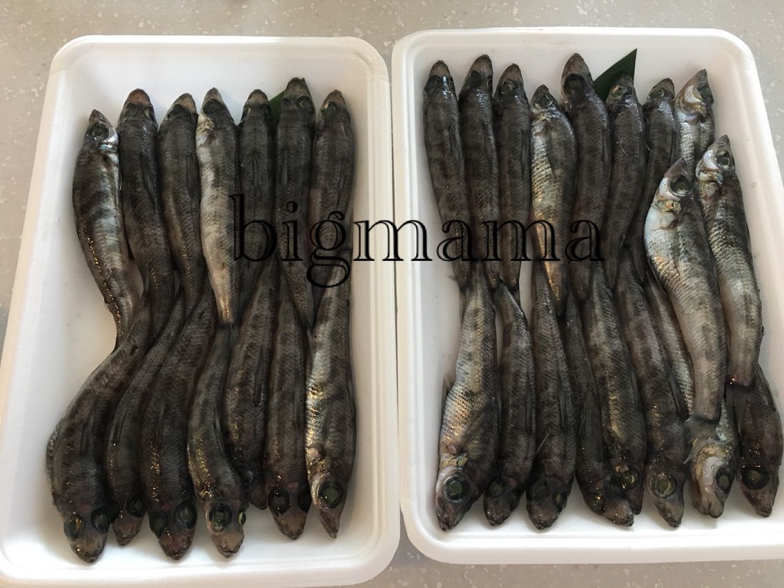子どもも食べられるようにメヒカリを自宅で下処理 たくさん食べたい人は自宅で 6人大家族bigママ奮闘日記 子どもも食べられるようにメヒカリを自宅で下処理 たくさん食べたい人は自宅で 6人大家族bigママ奮闘日記