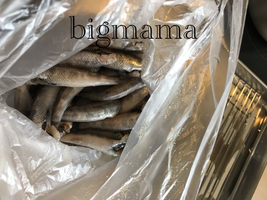 子どもも食べられるようにメヒカリを自宅で下処理 たくさん食べたい人は自宅で 6人大家族bigママ奮闘日記 子どもも食べられるようにメヒカリを自宅で下処理 たくさん食べたい人は自宅で 6人大家族bigママ奮闘日記