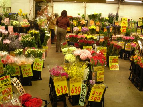 ビックフラワー永福店 花屋 Livedoor Blog ブログ