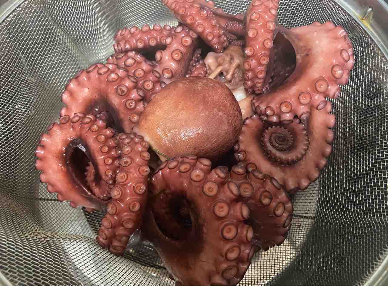 ボートマダコ Kinkai Lure Fishing 釣行記17 9