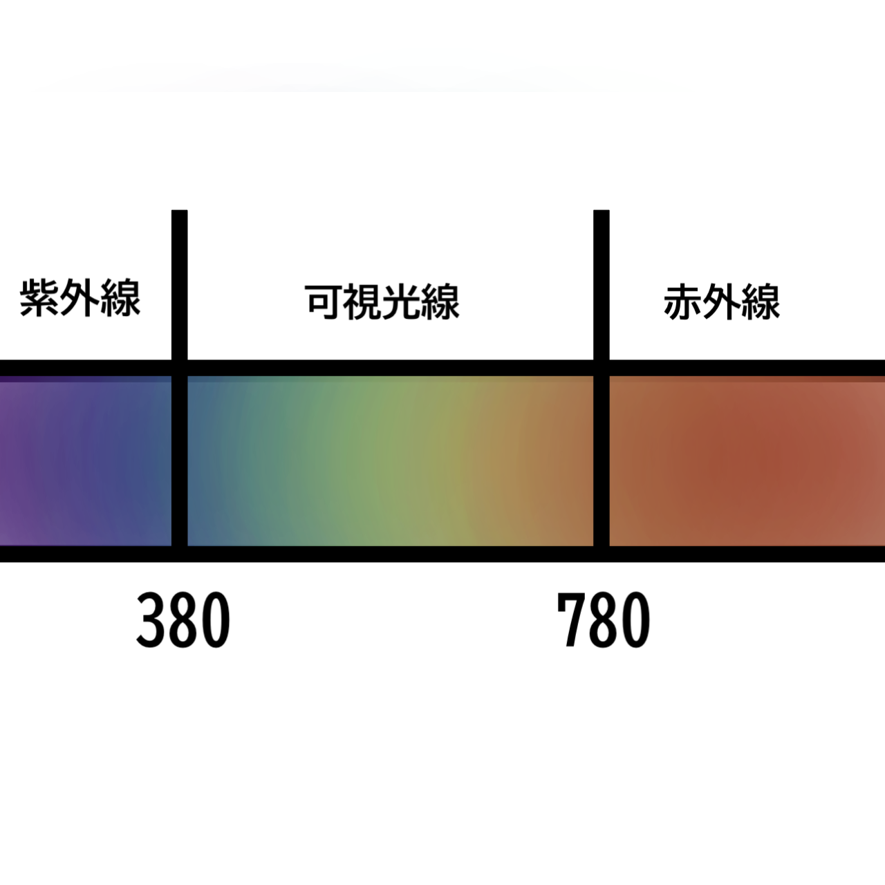 見えている世界は、脳が作り出した世界 : 興味の備忘録