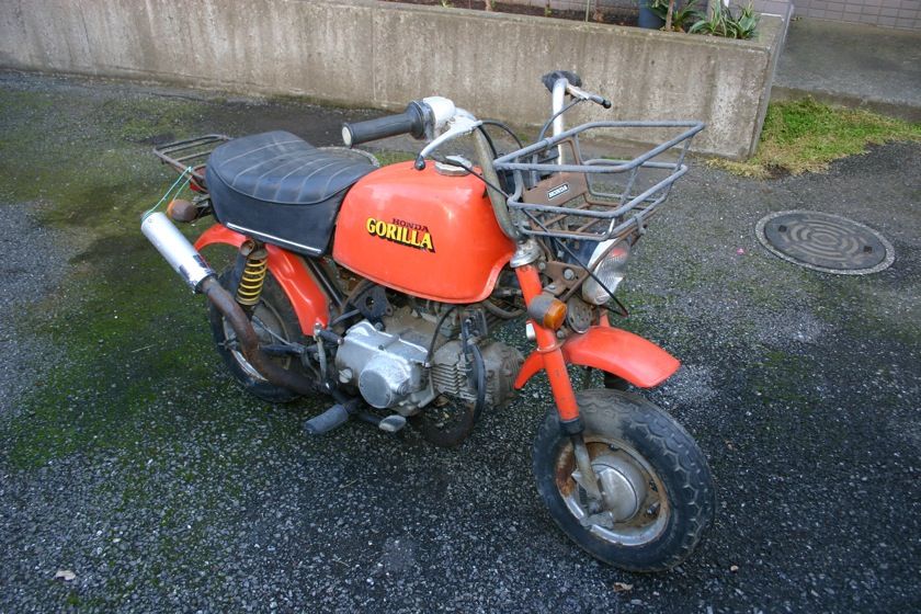 本日の頂き物 Hondaゴリラ初期型6v 新 レゴラリータがやってきた