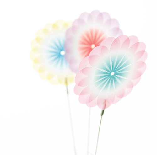 デスク周りに開花宣言 花付箋で 早咲きしましょう 美肌コム