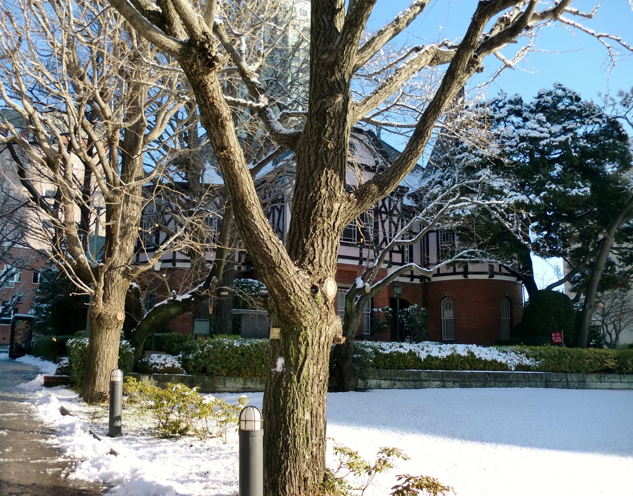 今日の英語表現 ３３ 東京に どか雪 米山明日香のブログ
