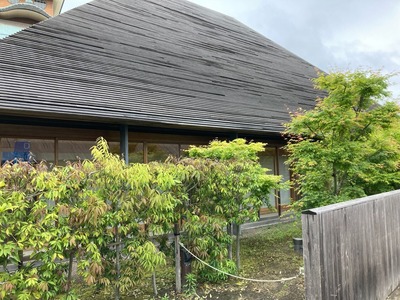 F58C5819-6940-482F-BF3F-DF256A9208AC