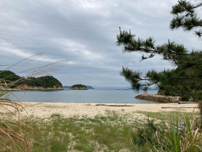 6F51E5D0-35DE-4494-B9D6-E56AE10AEE53