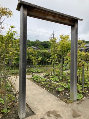 1E195FE2-580D-46B7-A365-C67BD0F961FF