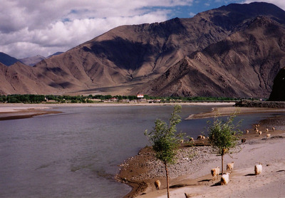 tibet2001_49